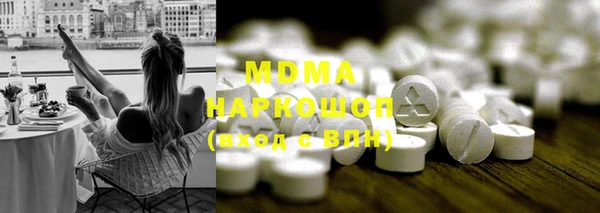 хмурый Аркадак