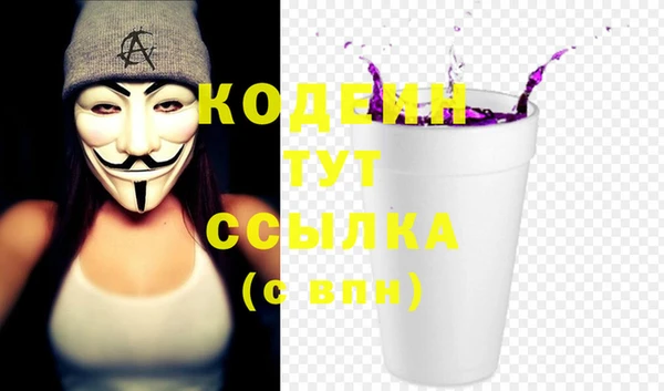 хмурый Аркадак