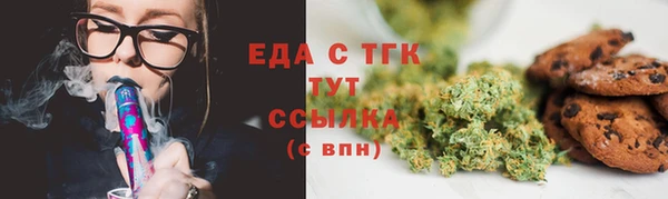 хмурый Аркадак