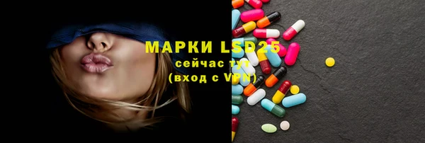 хмурый Аркадак
