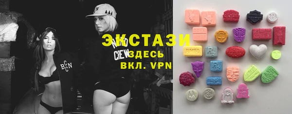 хмурый Аркадак