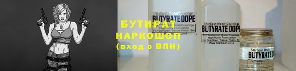 хмурый Аркадак