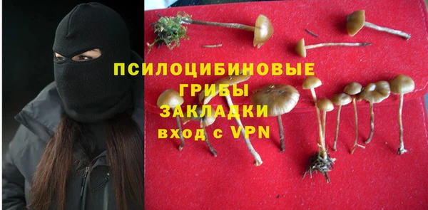хмурый Аркадак
