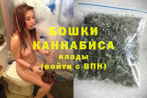 хмурый Аркадак
