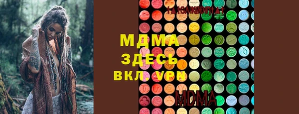 хмурый Аркадак