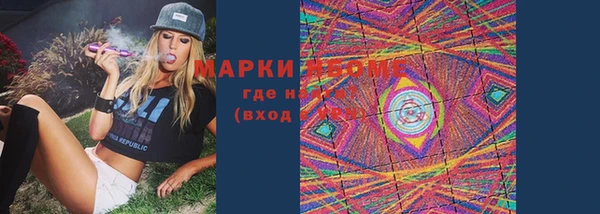 хмурый Аркадак