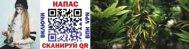 Бошки Шишки Ganja  Мглин 